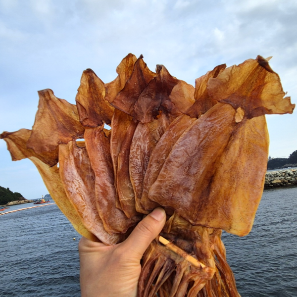 쫄쫄이 오징어200g (4-5미/원양산)