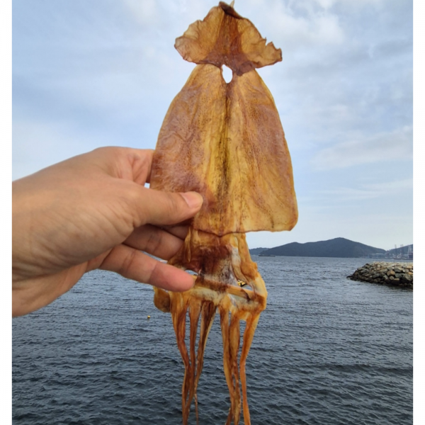 쫄쫄이 오징어200g (4-5미/원양산)