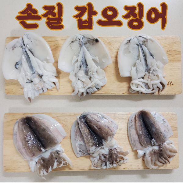 국내산 손질 갑오징어 2미